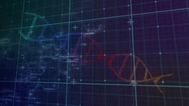 Mavi arkaplan ile renkli DNA yapısı üzerinden ızgara ağının dijital animasyonu. Tıbbi araştırma ve bilim teknolojisi kavramı