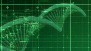 Şebeke ağının dijital animasyonu yeşil arka planda DNA yapısını döndürüyor. Tıbbi araştırma ve bilim teknolojisi kavramı