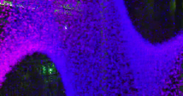 在服务器上移动的紫罗兰闪光的动画 全球网络 数据处理 数字通信和技术概念 — 图库视频影像