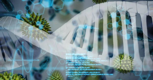 Bild Von Dna Strang Und Viruszellen Auf Weißem Hintergrund Globale — Stockfoto