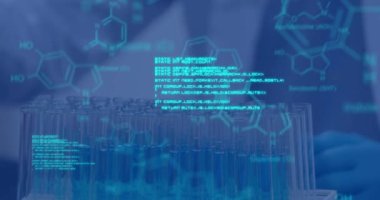 Animation of data processing and chemical formula over scientist. global science, data processing and digital interface concept digitally generated video.