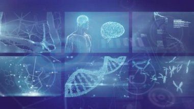 Mavi arkaplanda veri işleme animasyonu. küresel iş ve dijital arayüz kavramı dijital olarak oluşturulmuş video.