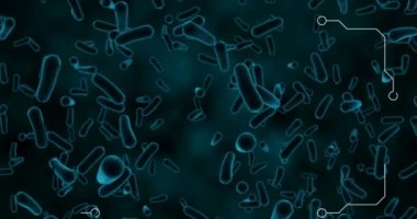 Virüs hücreleri üzerinde veri işleme animasyonu. küresel bilim, veri işleme ve dijital arayüz kavramı dijital olarak oluşturulmuş video.