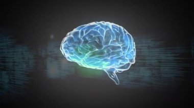 Siyah arkaplan üzerinde beyin ve veri işleme animasyonu. küresel iş ve dijital arayüz kavramı dijital olarak oluşturulmuş video.