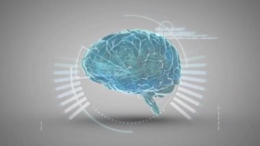 Animation of brain over white background. global business and digital interface concept digitally generated video.