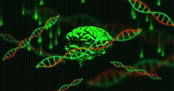 Animação Processamento Dados Cérebro Sobre Fundo Preto Conceito Global Negócios — Vídeo de Stock