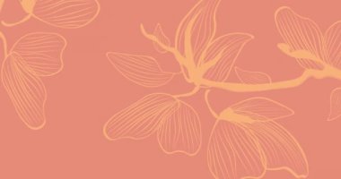 Çiçeklerin turuncu arka planda canlandırılması. Öğleden sonra çayı haftası ve dijital olarak üretilen video konsepti.