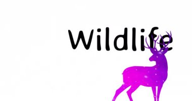 Animation of wildlife day text and deer icon on white background. Wildlife day and celebration concept digitally generated video.
