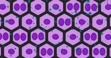 Animation of virus cells icons on black background. Global science and digital interface concept digitally generated video.