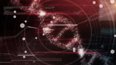 Kırmızı zemin üzerinde DNA, molekül ve veri işleme animasyonu. Bilim, insan genomu, veri işleme ve teknoloji konsepti dijital olarak oluşturulmuş video.
