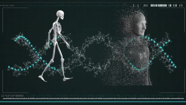 Animation Dna Strand Data Processing Human Skeleton Body Formed Exploding — Stockvideo