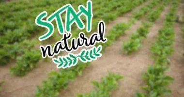 Bitkiler üzerindeki doğal metnin animasyonu. Küresel ekoloji, organik ve dijital arayüz kavramı dijital olarak oluşturulmuş video.