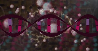 Siyah arka planda DNA ipliği ve virüs hücrelerinin animasyonu. Küresel bilim ve dijital arayüz kavramı dijital olarak oluşturulmuş video.