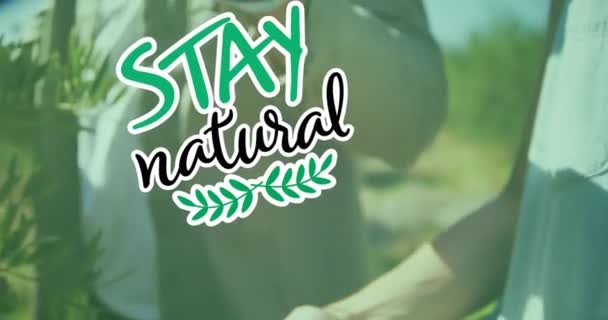 Animation Stay Natural Text Caucasian Man Picking Fruit Global Ecology — Wideo stockowe