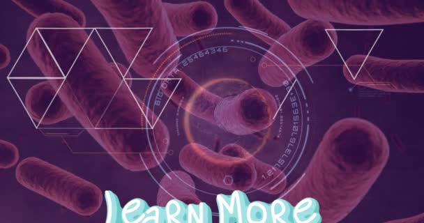 Learn More Text Scanner Abstract Shapes Blood Vessels Red Background — Vídeo de stock
