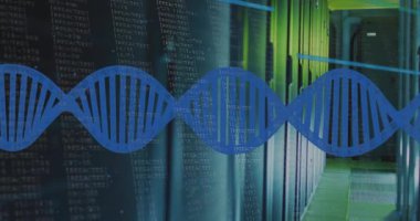 Sunucu odasındaki veri işleme ve DNA iplikçiklerinin animasyonu. Küresel iş ve dijital arayüz kavramı dijital olarak oluşturulmuş video.