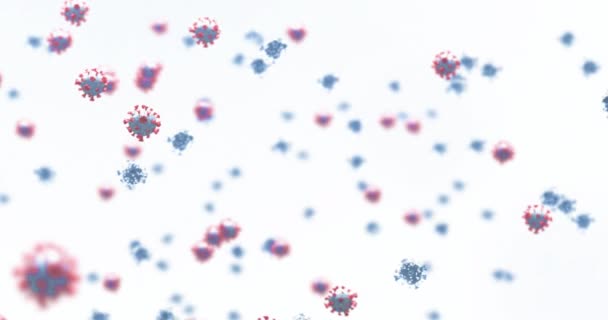 Animation Virus Cells Floating White Background Global Covid Pandemic Science — Vídeo de stock