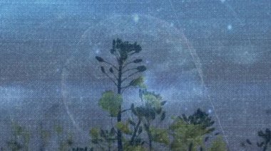 Bitkiler üzerindeki bağlantılardan oluşan dünyanın animasyonu. küresel ağ, bağlantılar, veri ve teknoloji konsepti dijital olarak oluşturulmuş video.