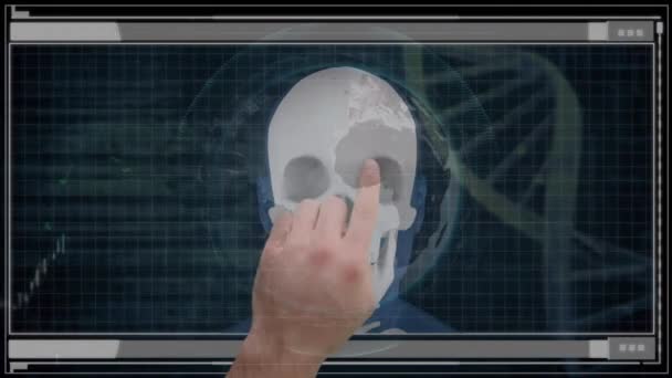 Animation Skull Globe Tooth Diverse Data Processing Digital Screen Data — ストック動画
