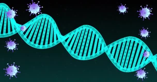 Animation Covid Cells Moving Dna Strand Spinning Global Covid Pandemic — Vídeo de stock