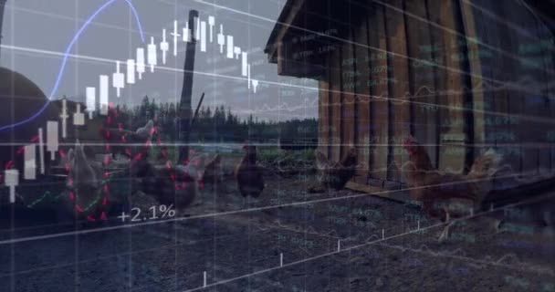 Animación Gráficos Financieros Sobre Pollo Granja Concepto Agricultura Finanzas Economía — Vídeos de Stock