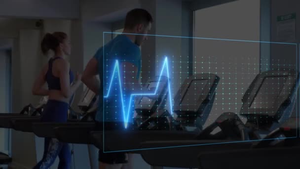 Animation Cardiograph Diverse People Exercising Health Fitness Digital Interface Concept — Vídeo de Stock