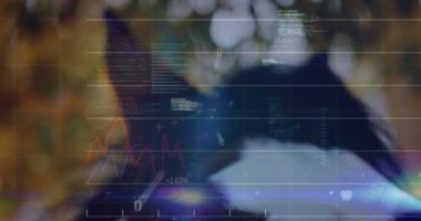 At ve yaprakların üzerinde veri işleme animasyonu. hayvanlar ve dijital arayüz konsepti dijital olarak oluşturulmuş video.