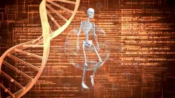 Animação Dna Globo Esqueleto Processamento Dados Fundo Laranja Conceito Ciência — Vídeo de Stock