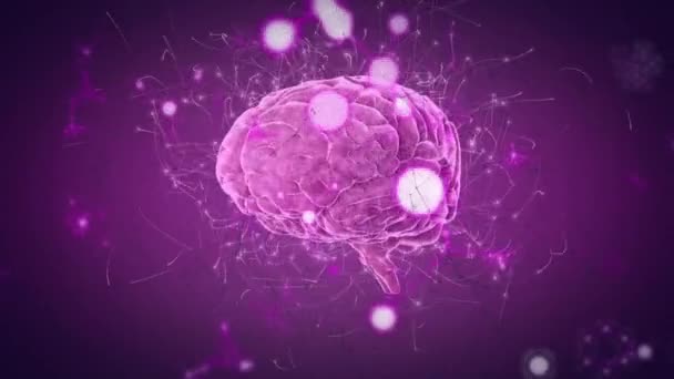 Мережа Язків Над Обертанням Людського Мозку Фіолетовий Фон Концепція Медичних — стокове відео