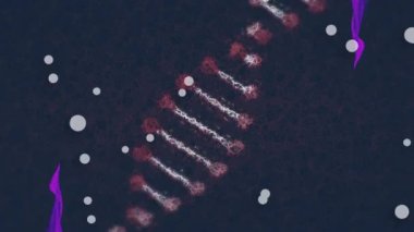 Beyaz noktalar yüzüyor ve DNA yapısı mor dijital dalganın üzerinde dönüyor. bilgisayar arayüzü ve teknoloji kavramı