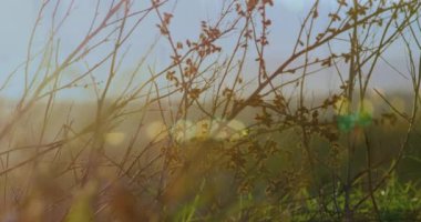 Elektrik direkleri ve manzara üzerindeki finansal grafiklerin animasyonu. enerji, elektrik, finans ve ekonomi konsepti dijital olarak oluşturulmuş video.