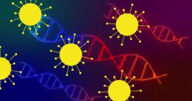DNA iplikçiklerinin üzerinde hareket eden 19 hücrenin animasyonu. küresel covid 19 salgın hastalık ve sağlık konsepti dijital olarak oluşturulmuş video.