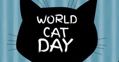 Mavi arka planda dünya kedi günü metninin animasyonu. Uluslararası Kedi Günü ve dijital olarak üretilen video konsepti.