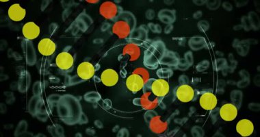 Virüs ve kan hücreleri üzerinde DNA ipliği ve veri işleme animasyonu. küresel bilim, veri işleme ve dijital arayüz kavramı dijital olarak oluşturulmuş video.