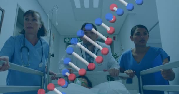 각양각색의 의사들 의식을 환자와 침대에 묘사되어 디지털 비디오 — 비디오