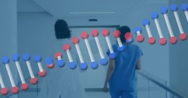 Koridorda koşan farklı kadın doktorların DNA 'larının canlandırması. ekonomi, finans, sağlık ve tıp konsepti dijital olarak oluşturulmuş video.