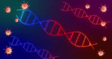 Hareket eden 19 hücrenin canlandırması ve dönen DNA iplikçikleri. küresel covid 19 salgın hastalık ve sağlık konsepti dijital olarak oluşturulmuş video.