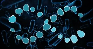 Siyah arka planda DNA ipliği ve bakteri hücrelerinin animasyonu. Küresel bilim ve dijital arayüz kavramı dijital olarak oluşturulmuş video.