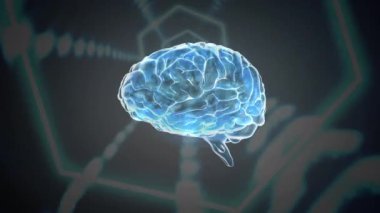 Siyah arkaplan üzerinde beyin animasyonu. küresel iş ve dijital arayüz kavramı dijital olarak oluşturulmuş video.