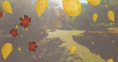 Parkta beyaz bir ailenin üzerine düşen yaprakların animasyonu. Doğa, sonbahar ve dijital arayüz kavramı dijital olarak oluşturulmuş video.