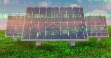 Güneş panelleri ve manzara üzerinde finansal veri işleme animasyonu. yeşil elektrik, enerji ve güç dağılımı dijital olarak oluşturulmuş video.