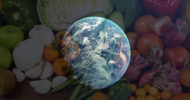 Animation Spinning Globe Table Vegetables World Vegan Day Nutrition Diet — Video