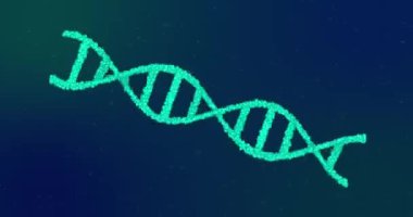 Hareket eden 19 hücrenin animasyonu ve dönen DNA iplikçikleri. küresel covid 19 salgın hastalık ve sağlık konsepti dijital olarak oluşturulmuş video.
