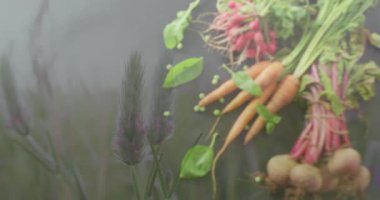 Çimlerin üzerinde sebze masası animasyonu. Dünya vejetaryen günü, beslenme, diyet konsepti dijital olarak üretilen video.