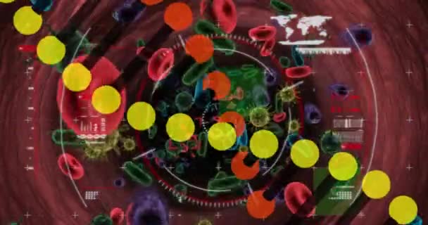 Animáció Dns Szál Adatok Feldolgozása Vírussejtek Globális Tudomány Adatfeldolgozás Digitális — Stock videók