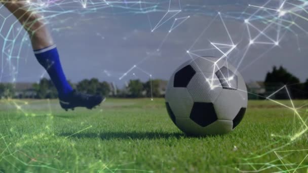 Animation Connections Legs Caucasian Male Soccer Player Ball Sport Competition — Stock videók