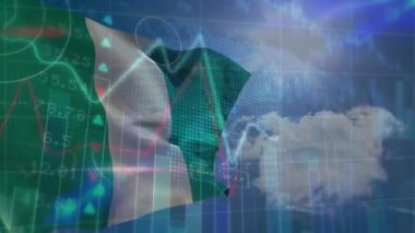 Nijerya bayrağı üzerinde veri işleme animasyonu. küresel iş, bilgisayar ve dijital arayüz kavramı dijital olarak oluşturulmuş video.