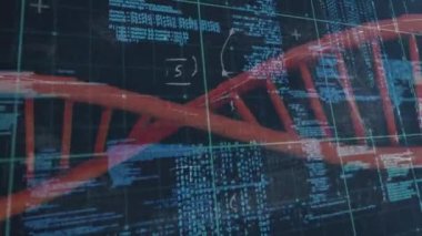 Donanma arka planında biyolojik verileri olan dijital ekranın animasyonu. İnsan biyolojisi, bilim, veri işleme ve teknoloji konsepti dijital olarak oluşturulmuş video.