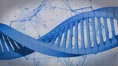 Gri arkaplandaki bağlantıların üzerinde DNA animasyonu. Bilim, insan biyolojisi ve anatomi konsepti dijital olarak oluşturulmuş video.