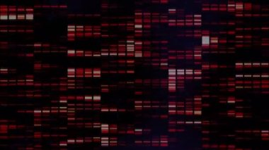 Siyah arkaplanda kırmızı ışık animasyonu. İnsan biyolojisi, bilim, veri işleme ve teknoloji konsepti dijital olarak oluşturulmuş video.